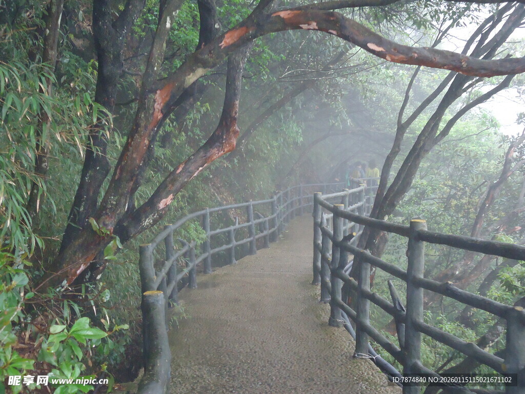 山间雾中蜿蜒栈道