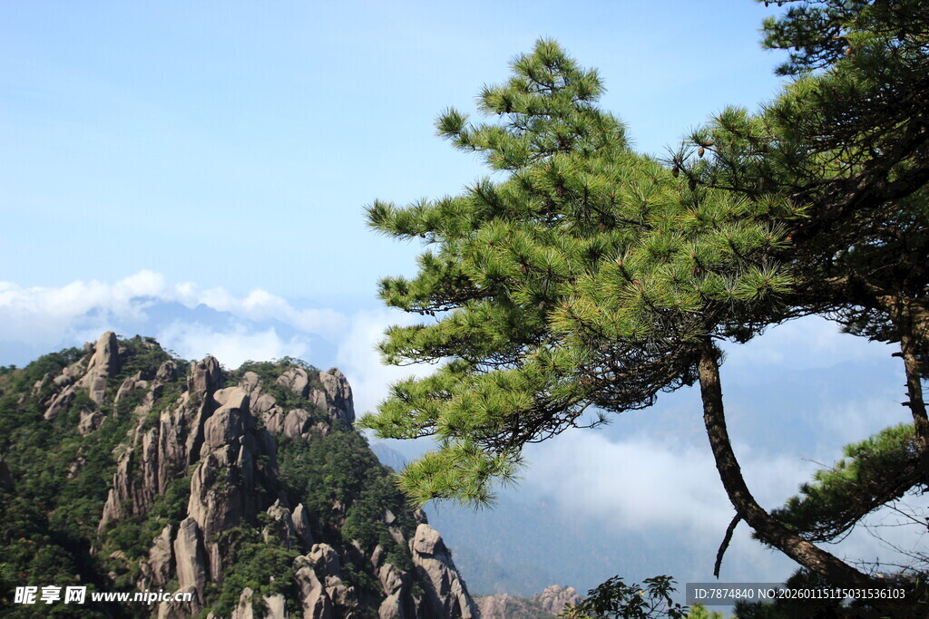 黄山奇松与峻岭美景