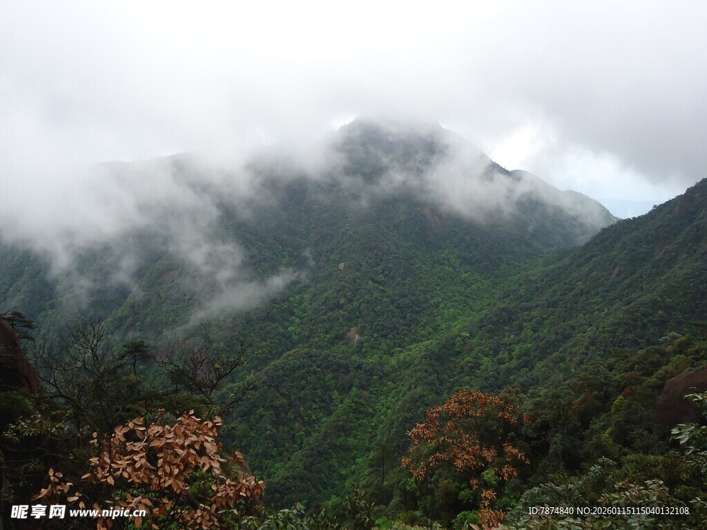 云雾缭绕的翠绿山峦