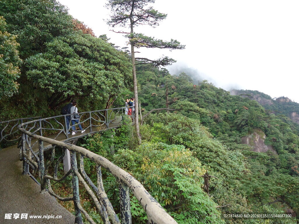 山间栈道漫步于绿意之中