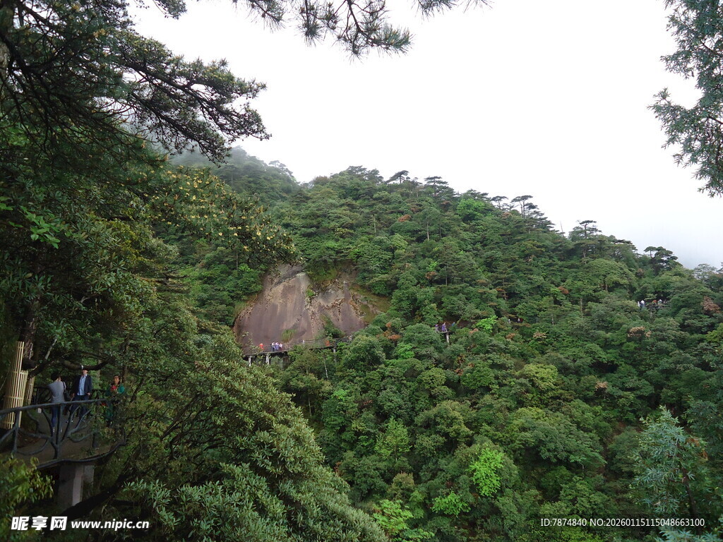 山林绿意盎然的自然景致
