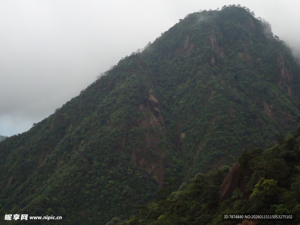 云雾缭绕的翠绿山峰