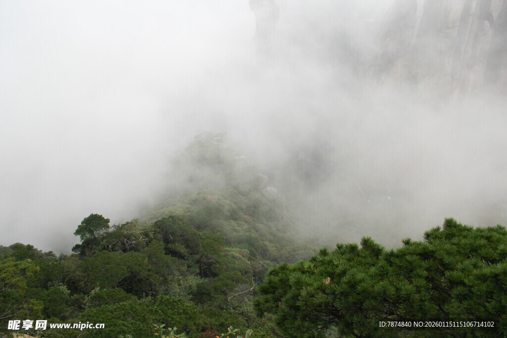 云雾缭绕的山林美景