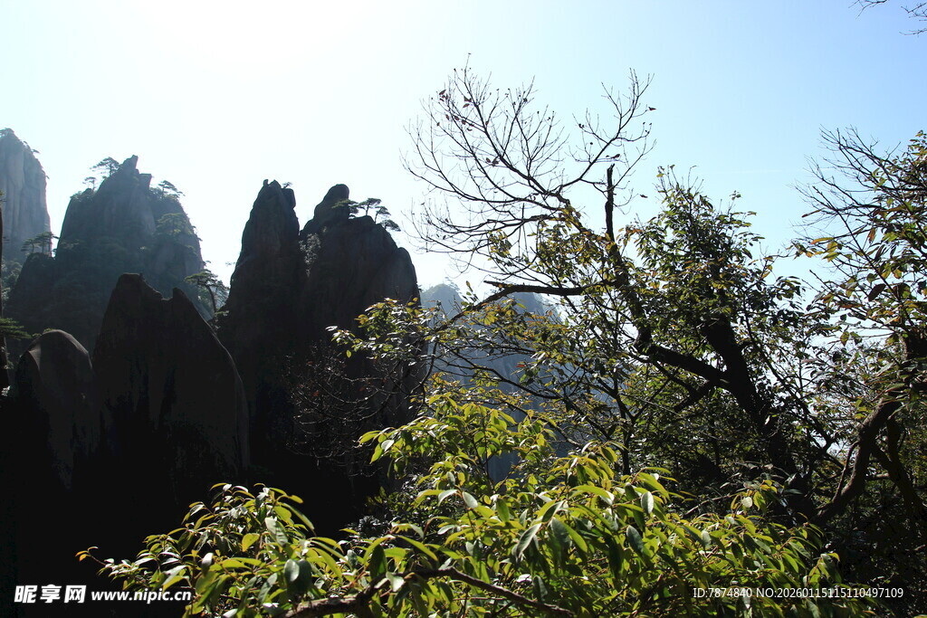 奇峰绿树间的壮美山景