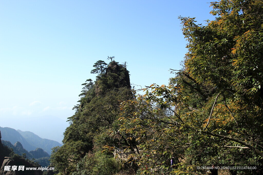 奇峰耸立的山林美景