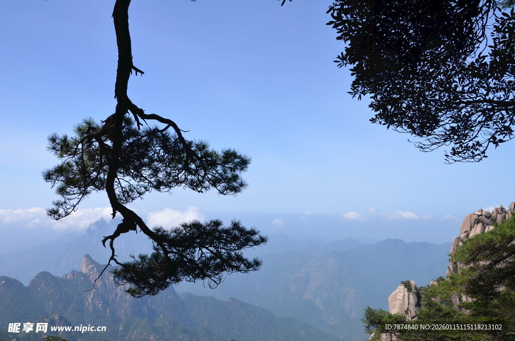黄山孤枝悬于青山蓝天间