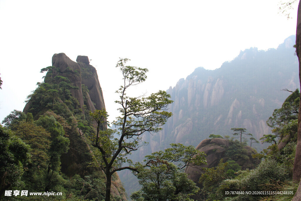 秀丽山峦间的葱郁景致