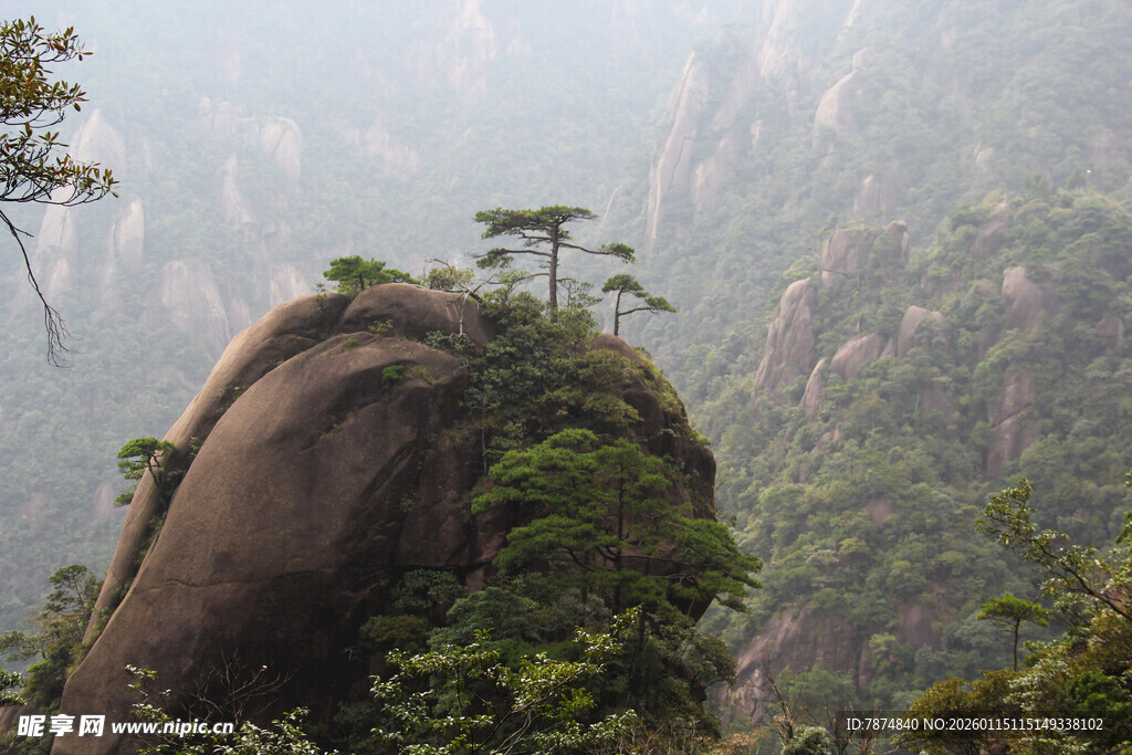 奇峰耸立间的绿意景致