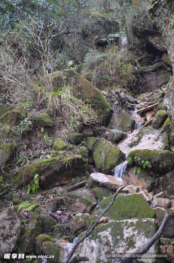 山间溪流 覆满青苔的石景