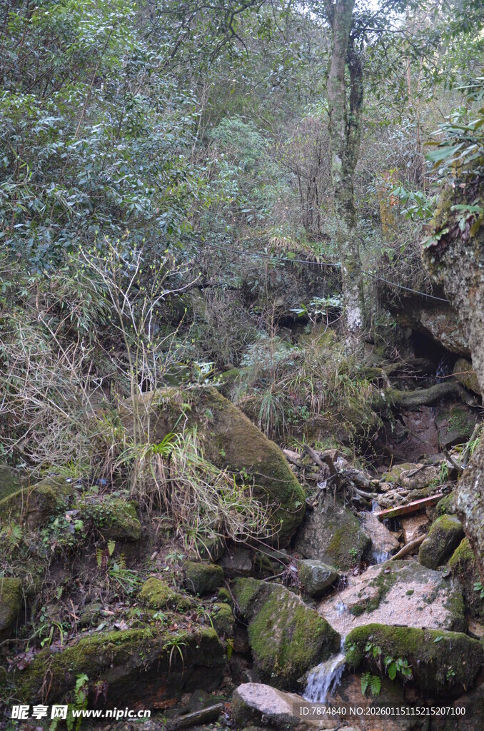 山林间潺潺溪流美景
