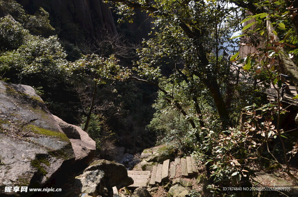 山间绿意盎然的自然景致