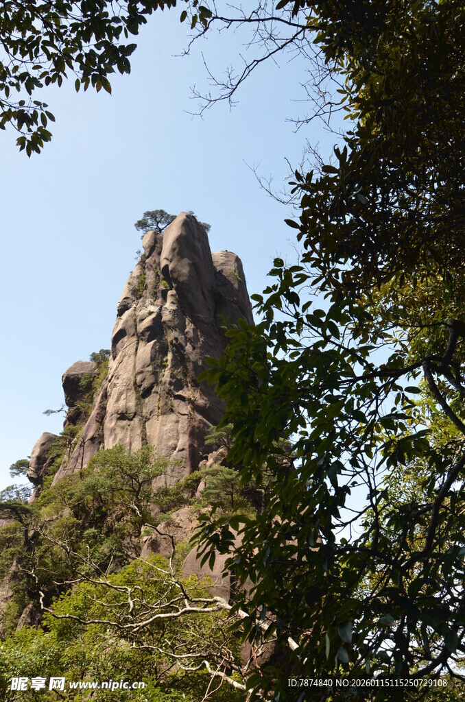 巍峨山峰隐于绿树间