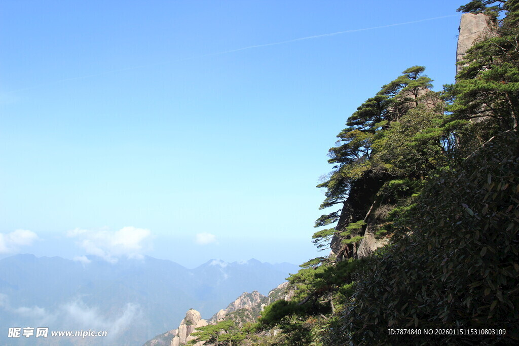 高山峻岭间的葱郁树木