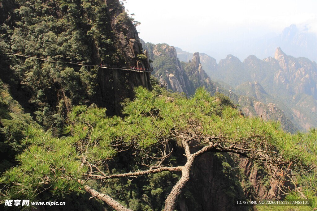 峻岭青松间的壮美山景