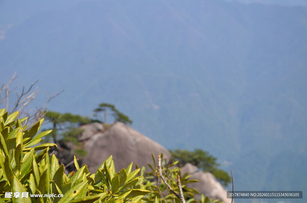 山间绿植与巨石景观