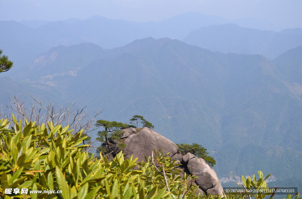 山间绿植与远处山峦景色