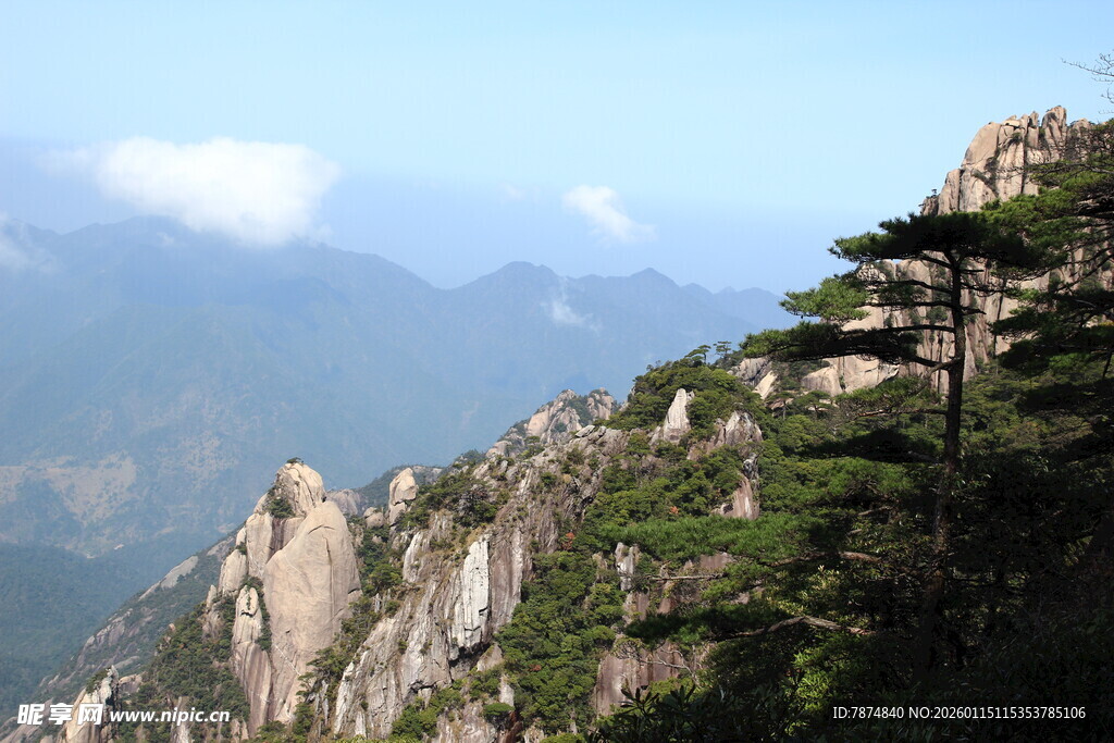 巍峨山峰上的挺拔松树