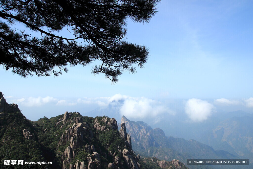 巍峨山峰与云端松树美景