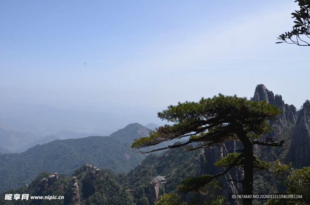 黄山奇峰上的孤松景观