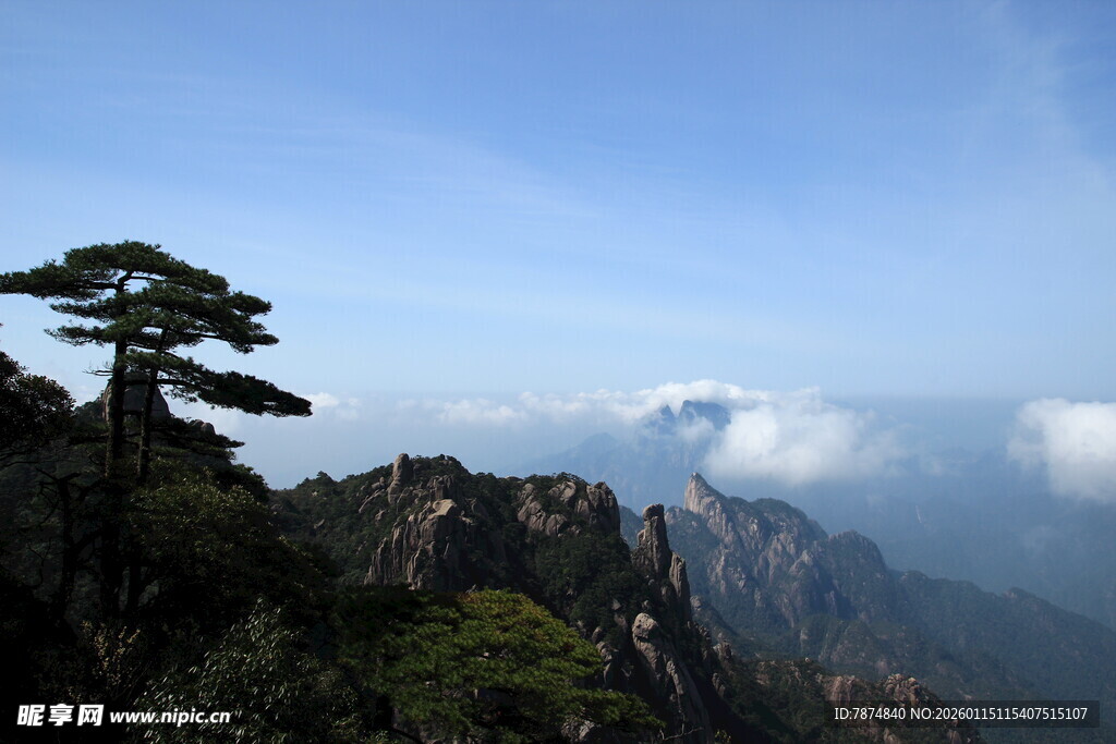 黄山奇峰上的孤松景观