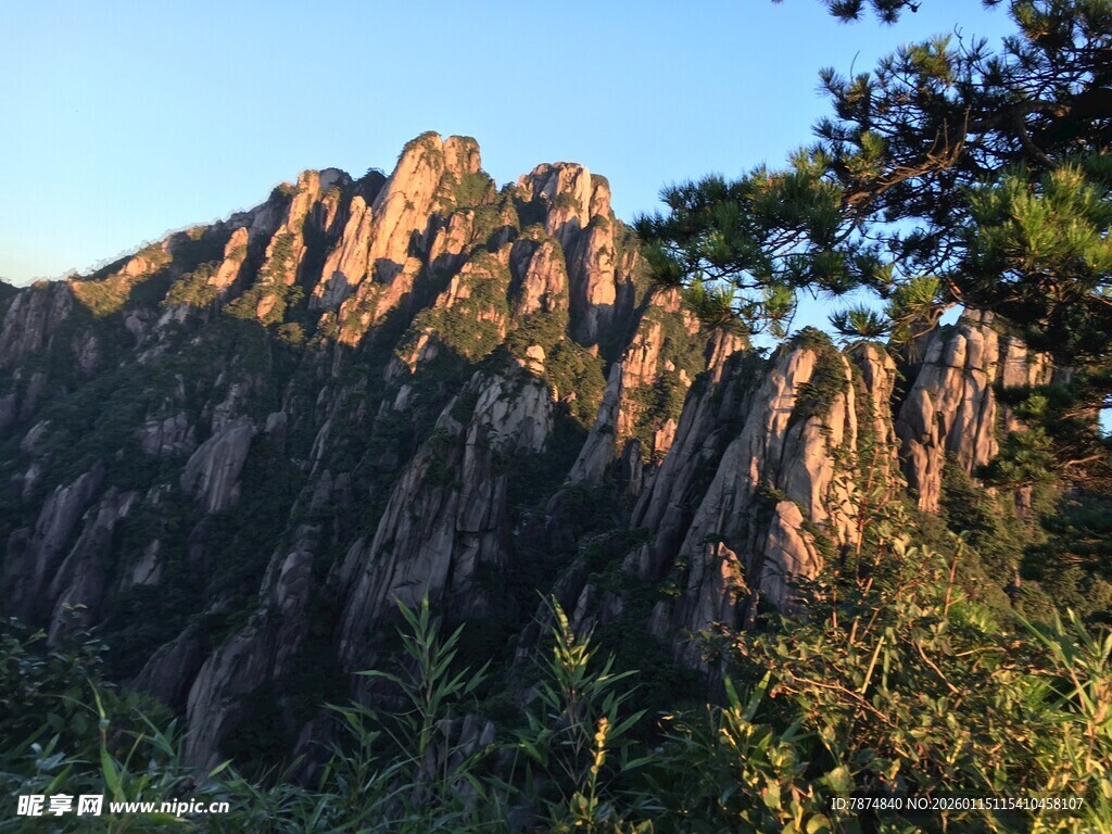 壮丽山景 峰石与绿树相映