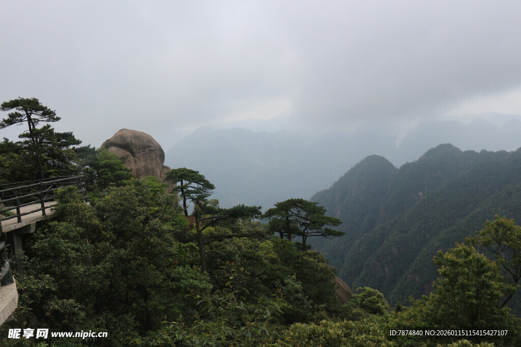 山间栈道旁的秀丽山林景色