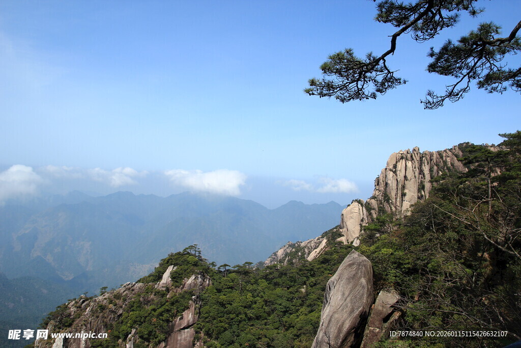 黄山奇峰上的苍松美景