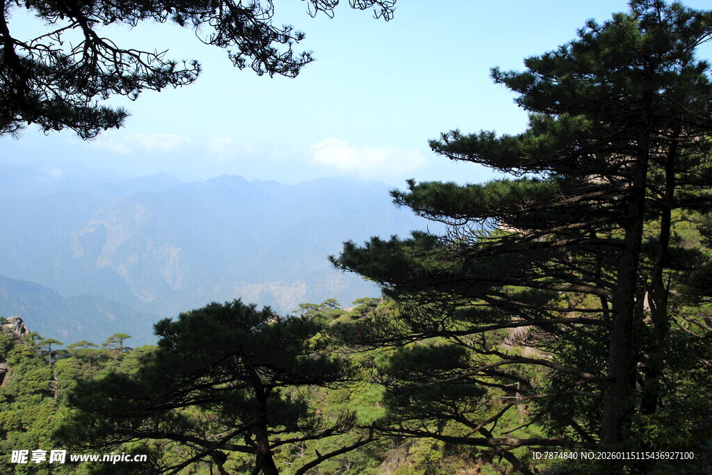 山间松景 远眺秀丽风光