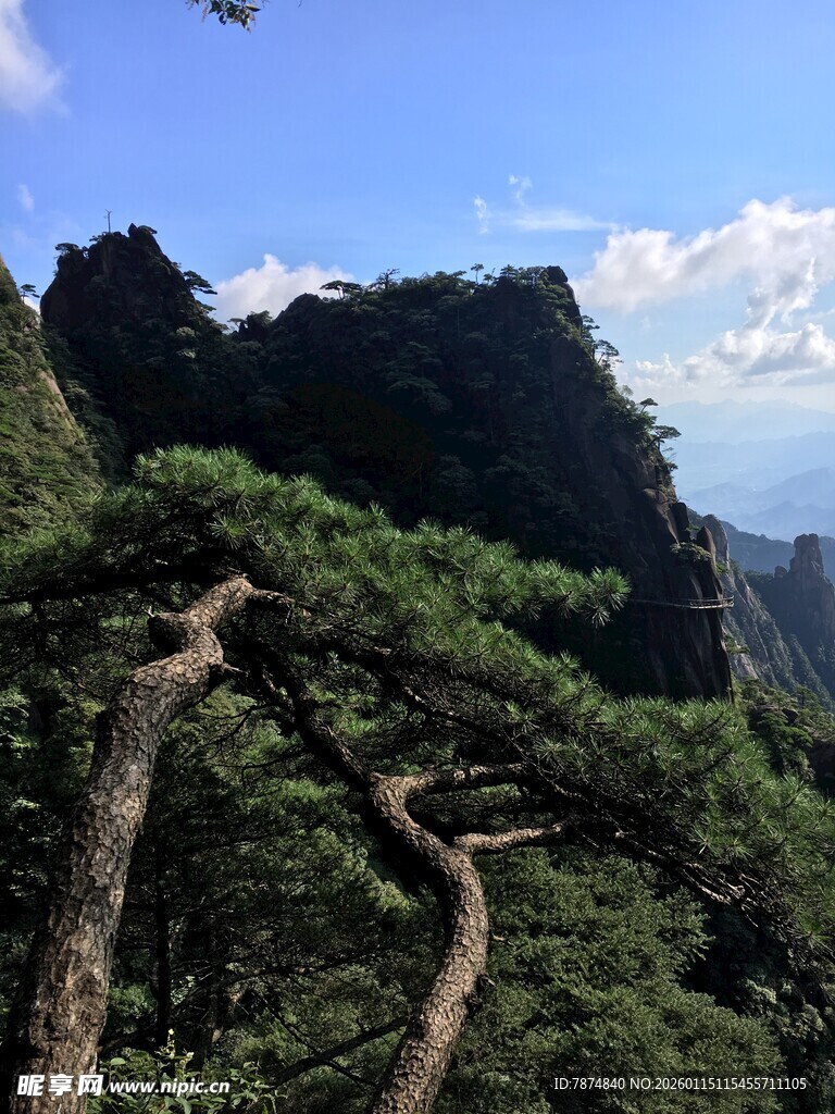 峻岭青松间的壮美山色