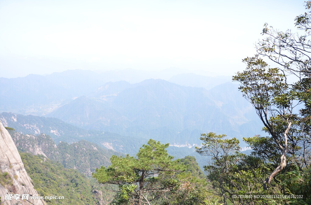山巅松景 远眺层峦叠嶂