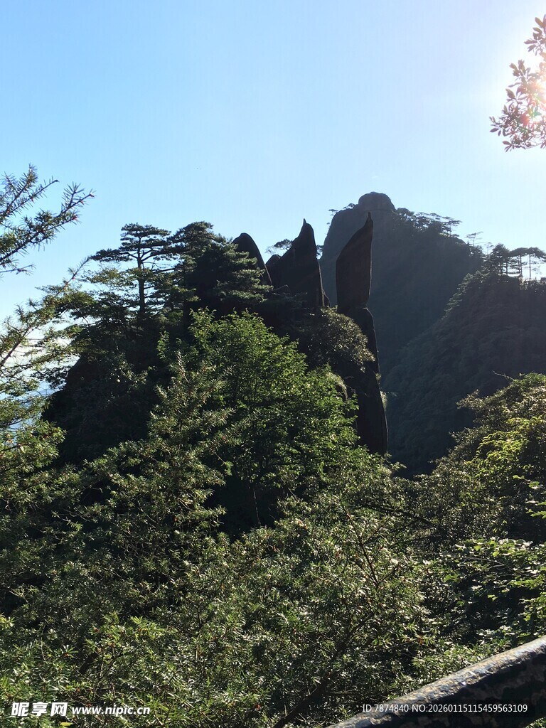 黄山奇峰绿树美景