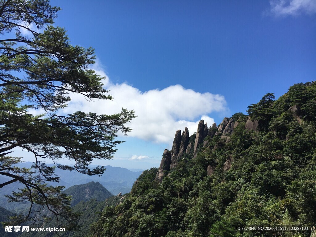峻岭青松伴蓝天美景
