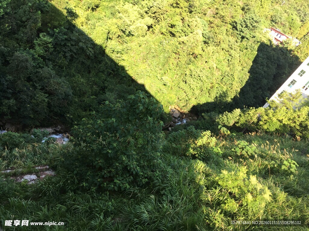 山间绿意盎然的峡谷景观