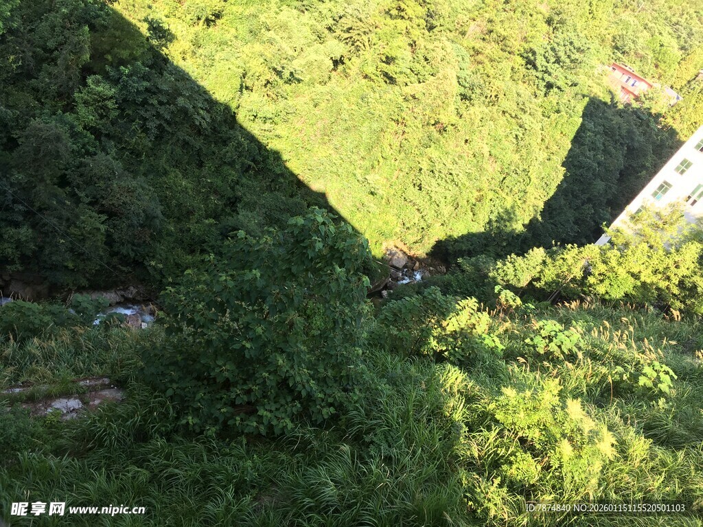 山间绿意盎然的峡谷景色