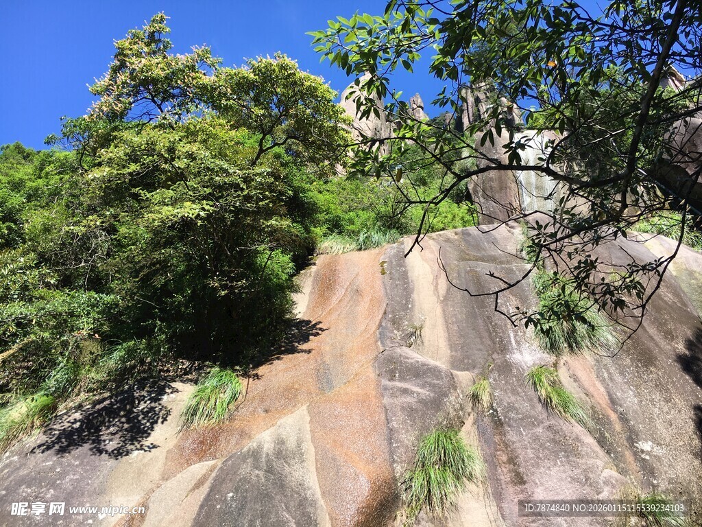 山间石崖与葱郁树木