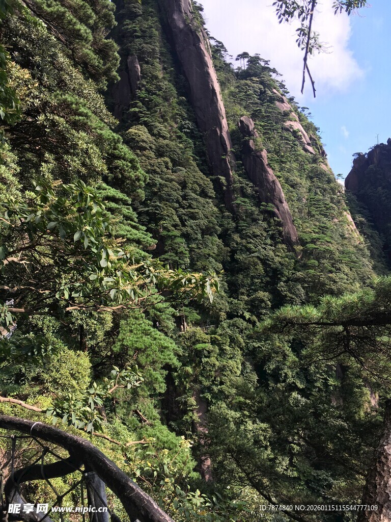 峻峭山峦间的葱郁植被