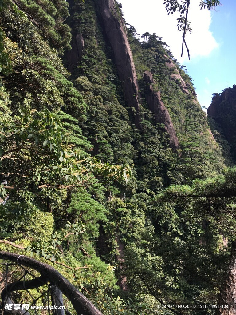 峻峭山峦间的繁茂植被