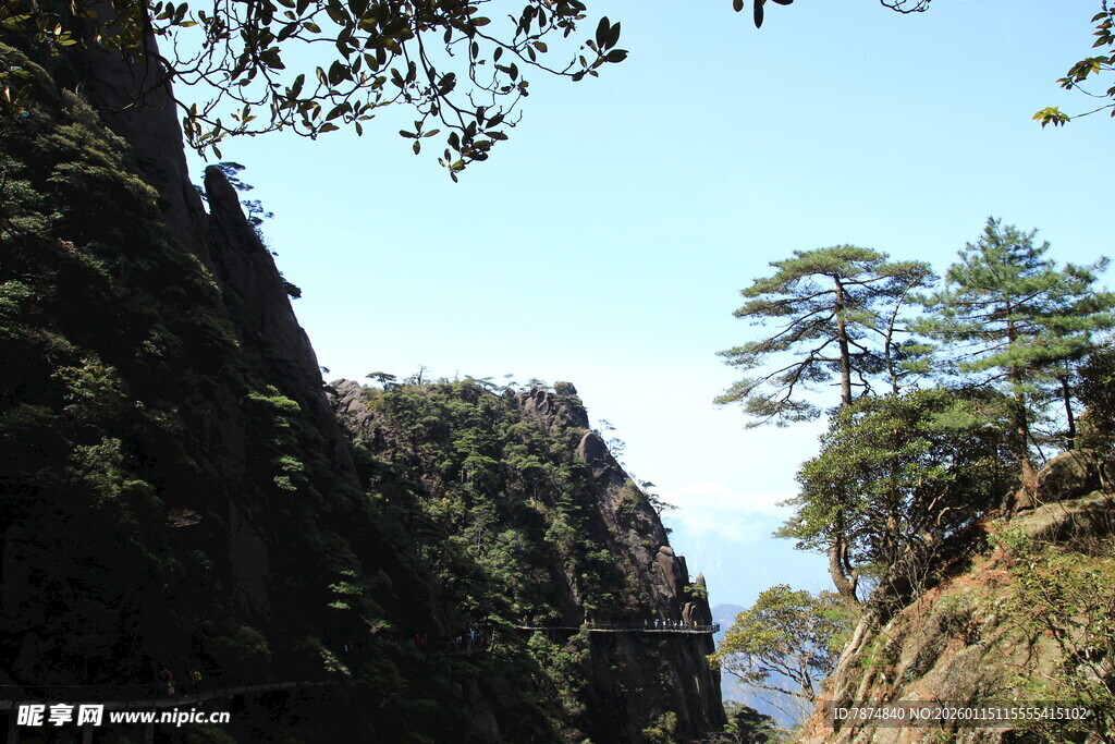 山间峭壁旁的葱郁树木