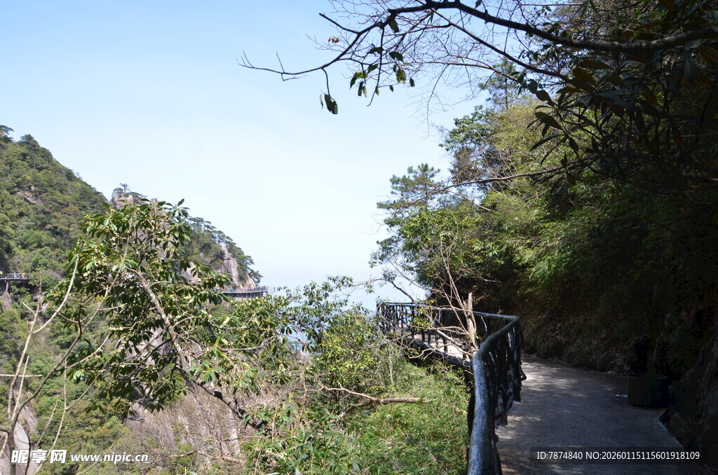 山间幽静步道 尽显自然之美
