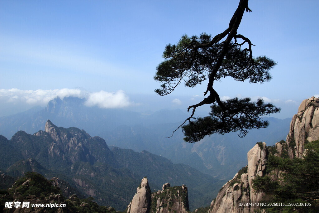 黄山奇松伴壮丽山峦