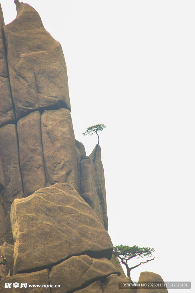 奇幻岩石景观中的孤树