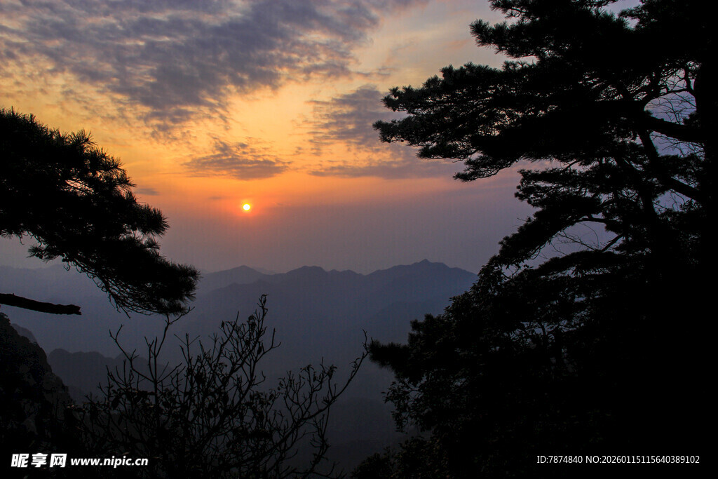 日出时分山间松影美景