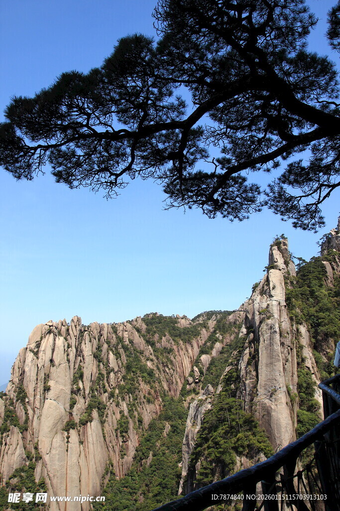 黄山奇峰与苍松景观