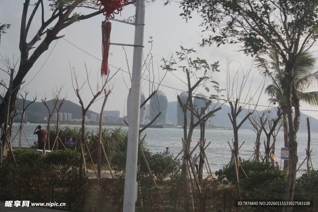 湖边树木景观
