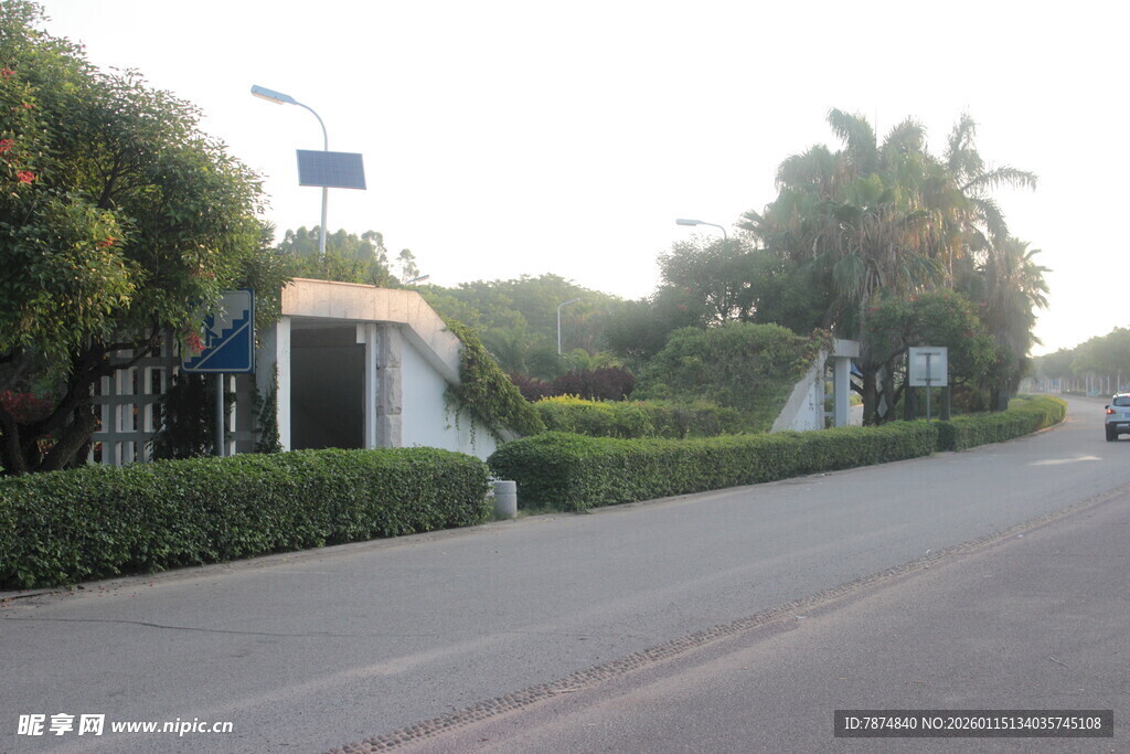 道路旁的绿植与建筑设施