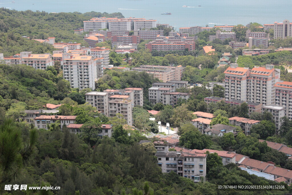 俯瞰绿树环绕的居民区
