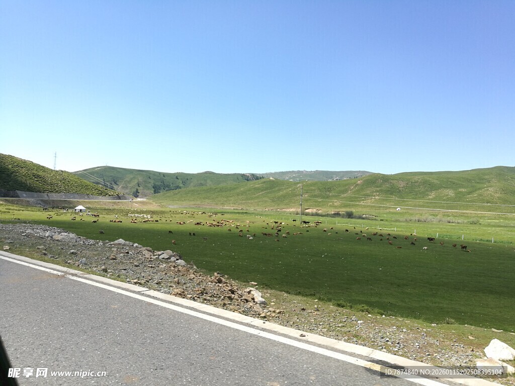 公路旁的开阔绿色原野