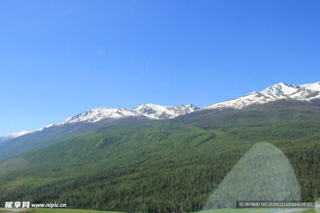 雪山下的葱郁山林