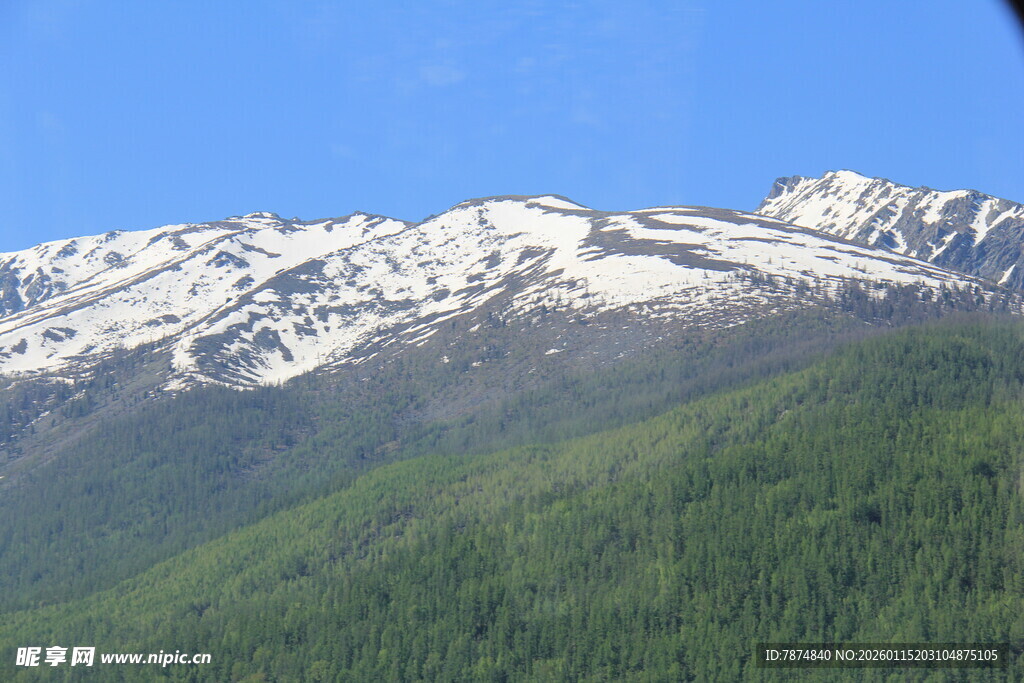 雪山下的葱郁山林