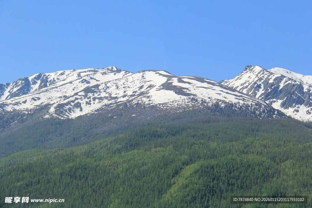 雪山下的葱郁山林
